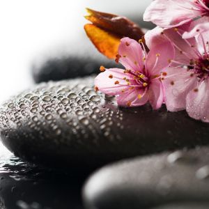 Hot Stone Massage (Demo)